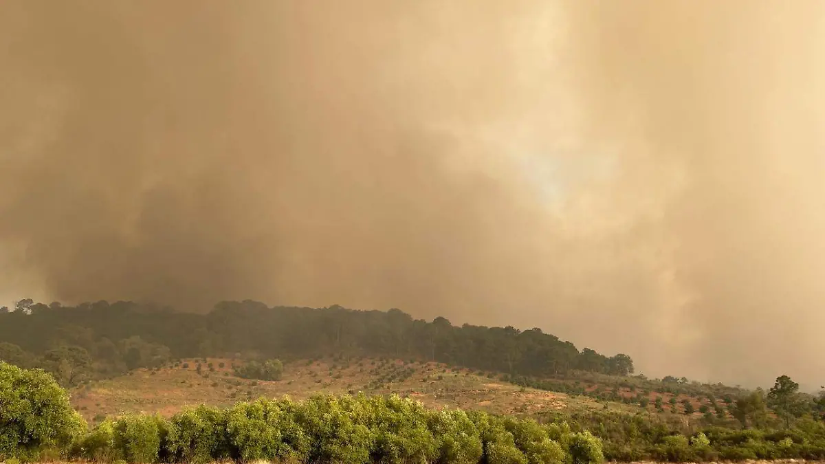 Incendio Mazamitla